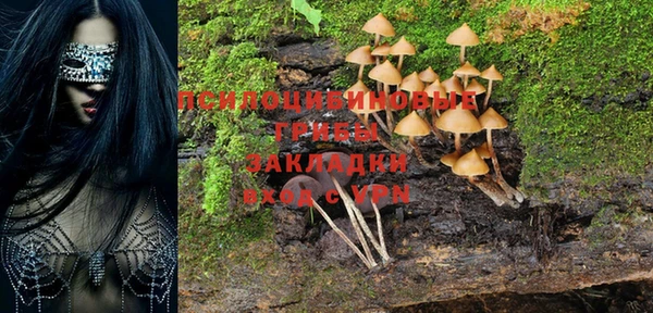 2c-b Белокуриха