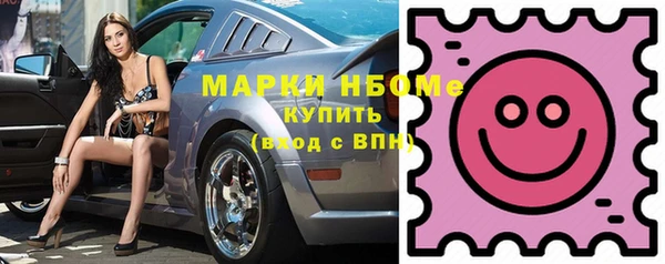 шишки Богородск