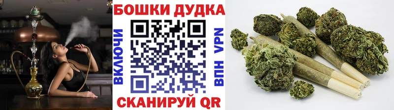 Купить где  Шенкурск  Канабис Amnesia 